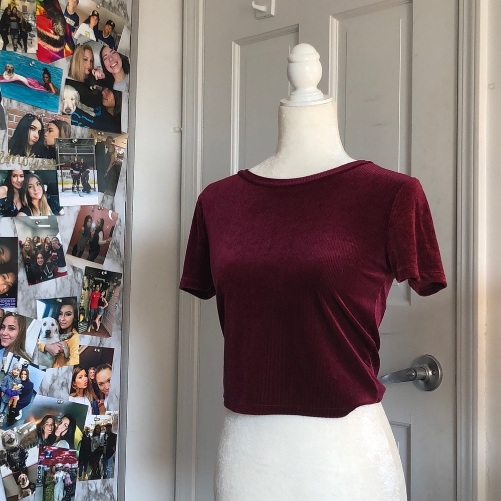 Velvet Burgundy Top